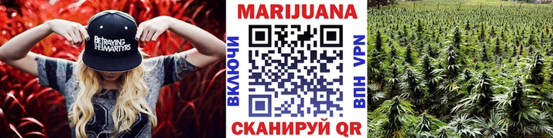 блэк спрут как войти  дарк нет официальный сайт  Каменка  Бошки марихуана семена  наркотики 
